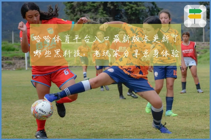 哈哈体育平台入口最新版本更新了哪些黑科技，老玩家分享亲身体验与新玩法心得