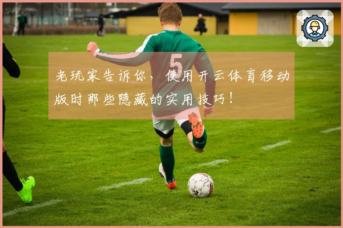 老玩家告诉你，使用开云体育移动版时那些隐藏的实用技巧！