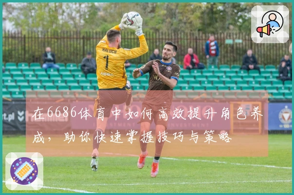 在6686体育中如何高效提升角色养成，助你快速掌握技巧与策略