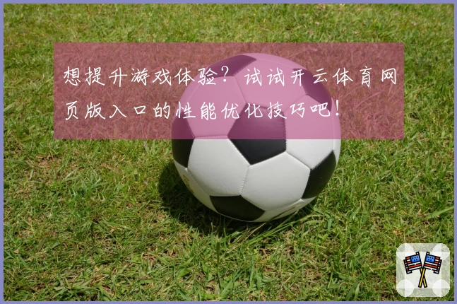 想提升游戏体验？试试开云体育网页版入口的性能优化技巧吧！